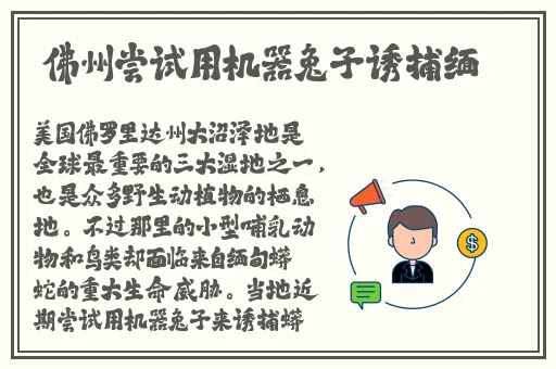男生和女生一起干亏亏的事